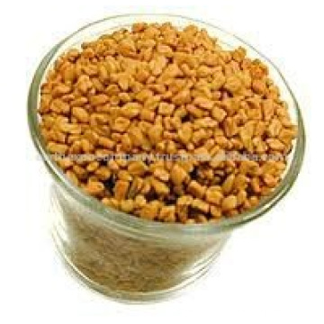 Best quality fenugreek seeds